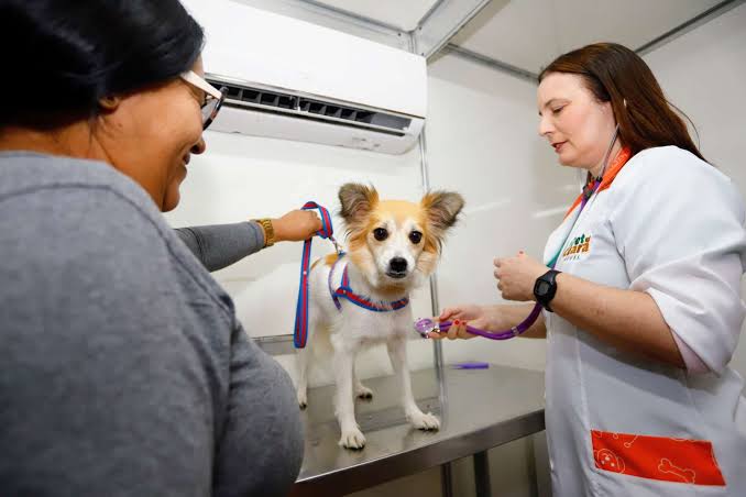 Pet Ceará Móvel chega a Quixadá com atendimento veterinário gratuito para cães e gatos