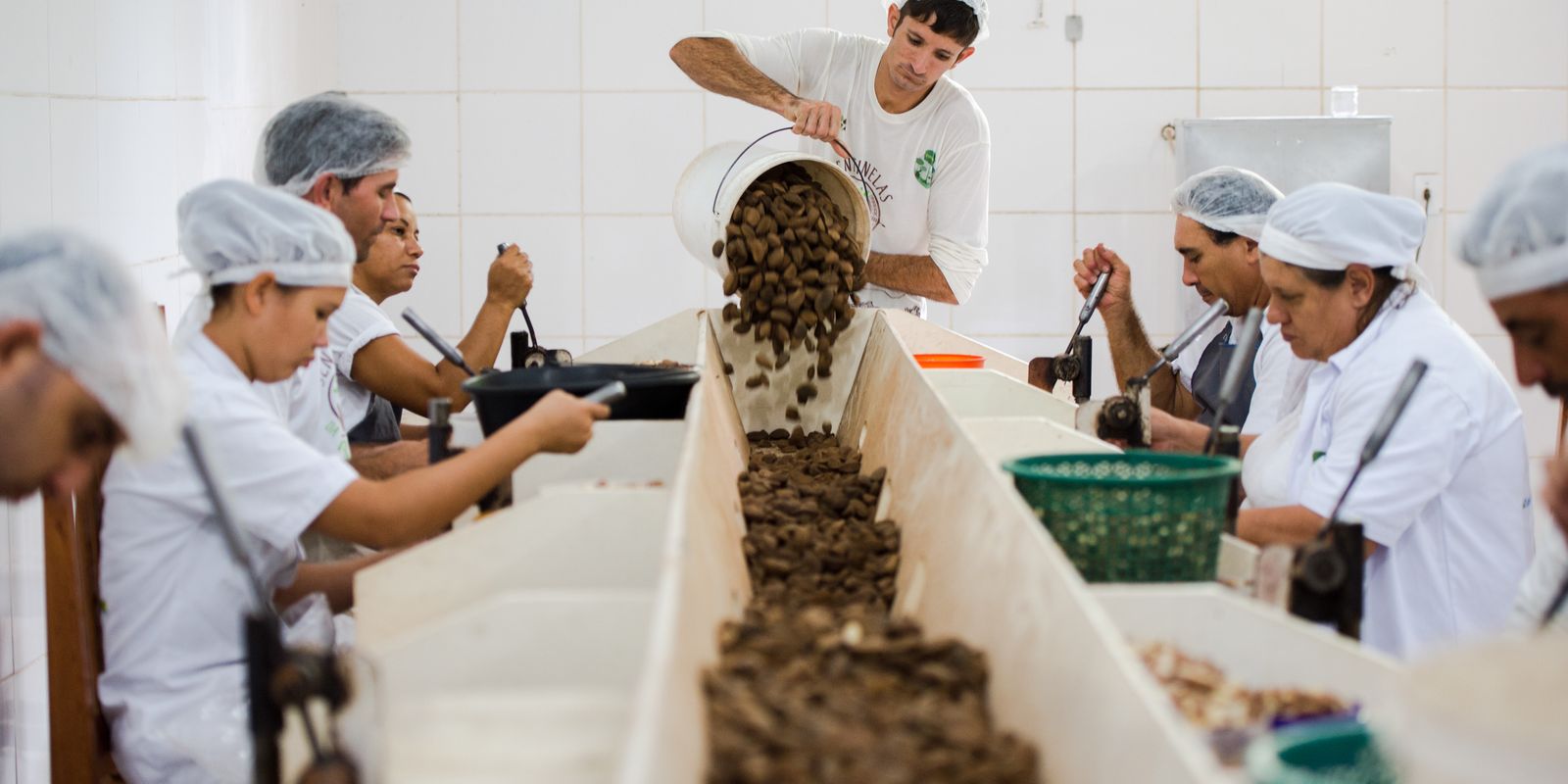 Produtos associados a cadeias produtivas sustentáveis e à conservação ambiental