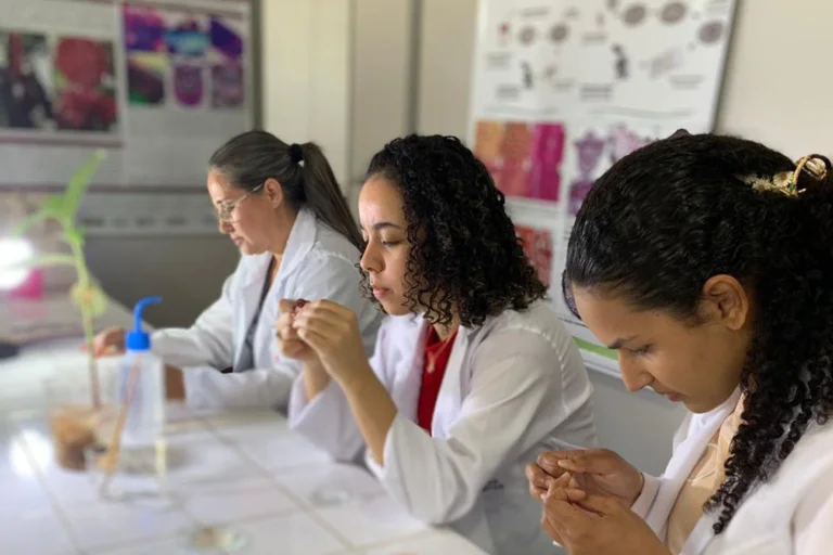 Programa Futuras Cientistas prorroga inscrições até 6 de novembro